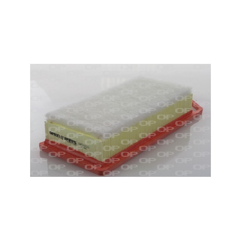 Filtro Aria EAF3103.10