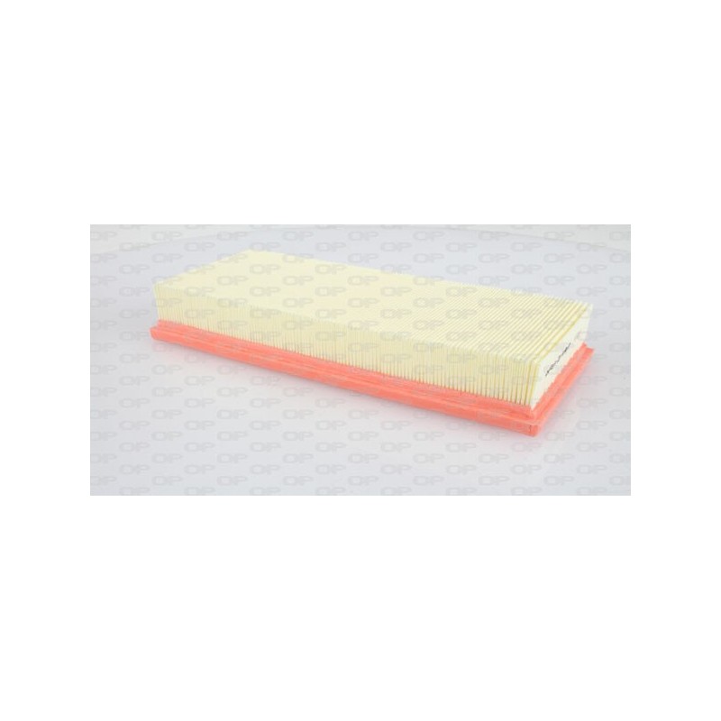 Filtro Aria EAF3109.10
