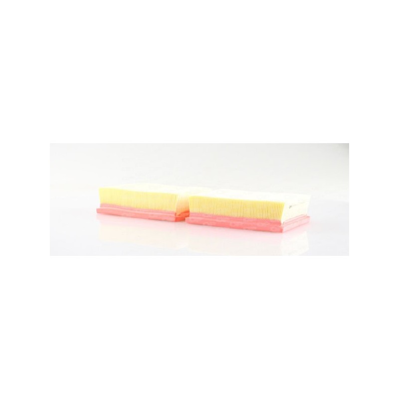 Filtro Aria EAF3110.10