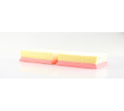 Filtro Aria EAF3110.10 - 80-EAF3110.10 - 80-EAF3110.10