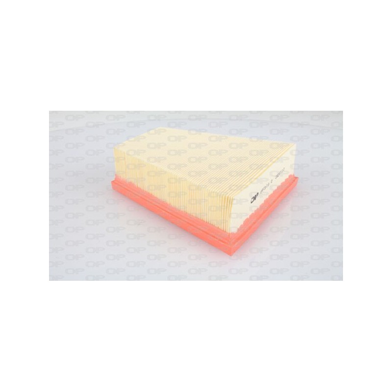Filtro Aria EAF3119.10
