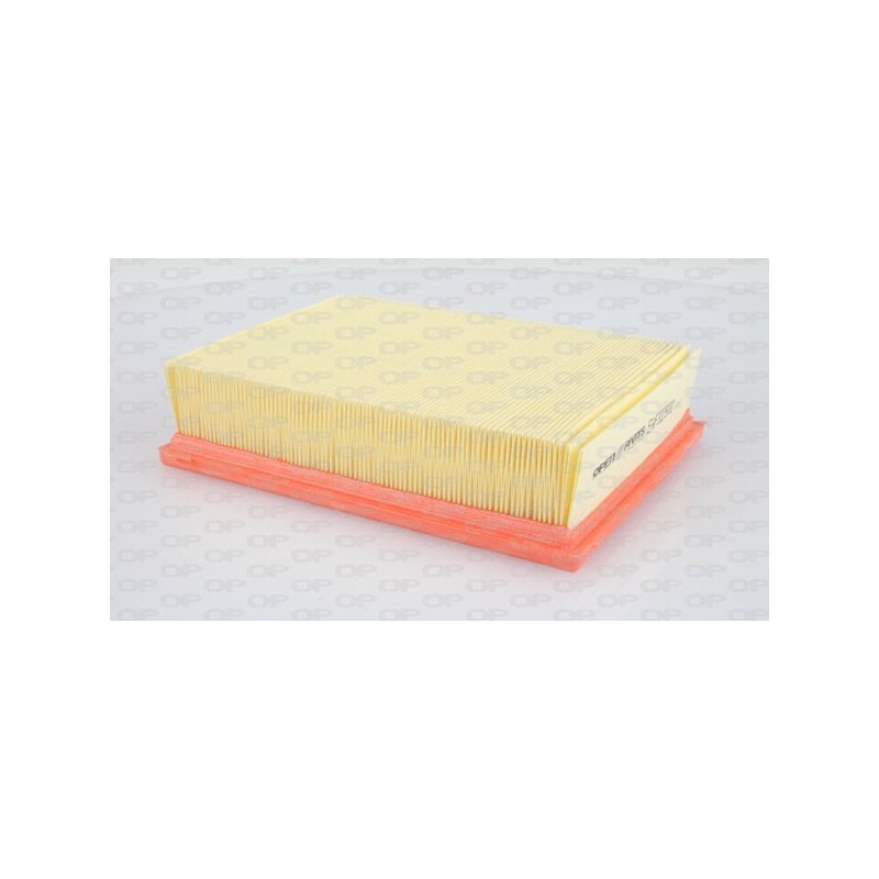 Filtro Aria EAF3129.10