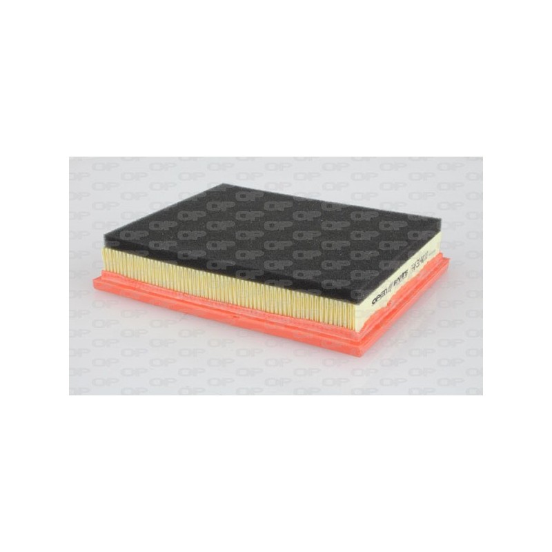 Filtro Aria EAF3140.10