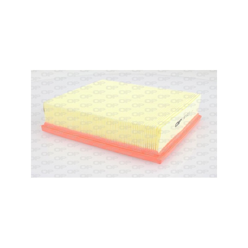 Filtro Aria EAF3192.10