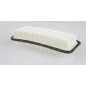 Filtro Aria EAF3225.10