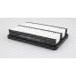 Filtro Aria EAF3239.10