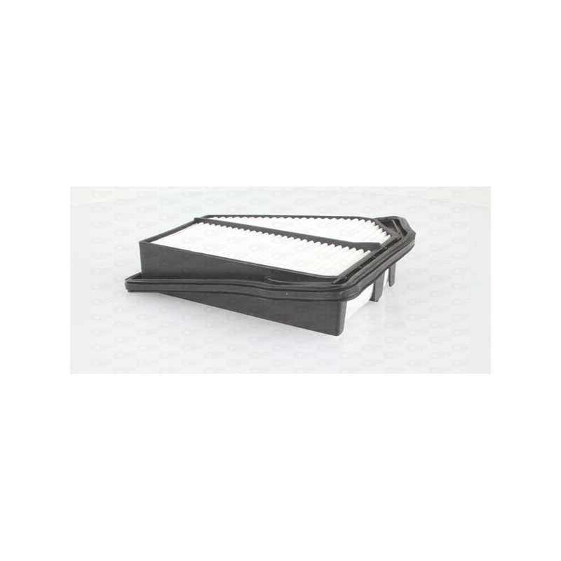 Filtro Aria EAF3481.10