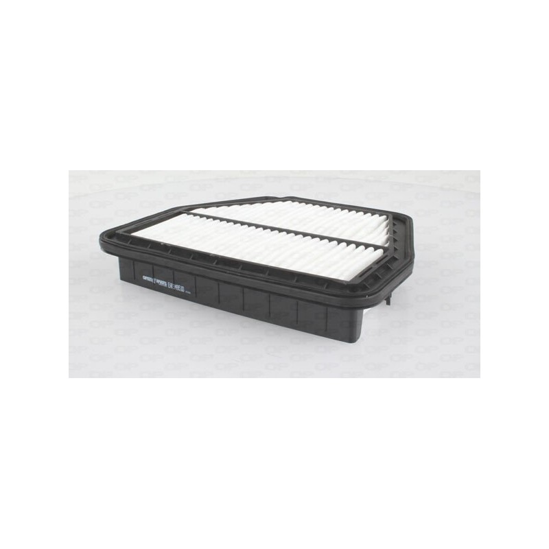 Filtro Aria EAF3495.10