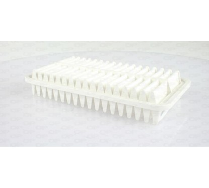 Filtro Aria EAF3516.10 - 80-EAF3516.10 - 80-EAF3516.10
