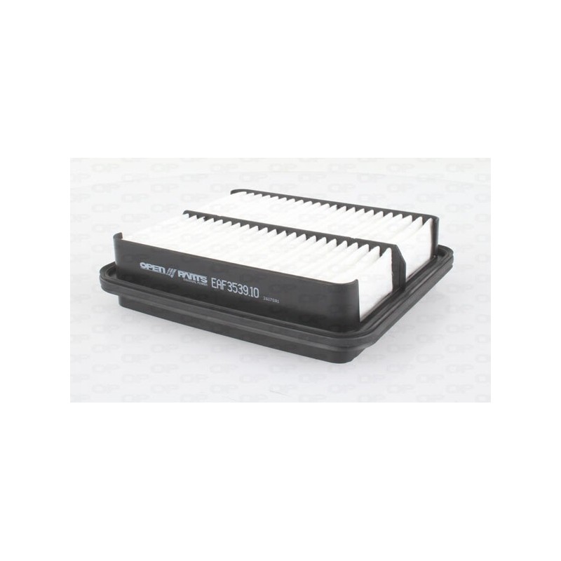Filtro Aria EAF3539.10