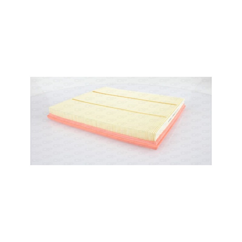 Filtro Aria EAF3595.10
