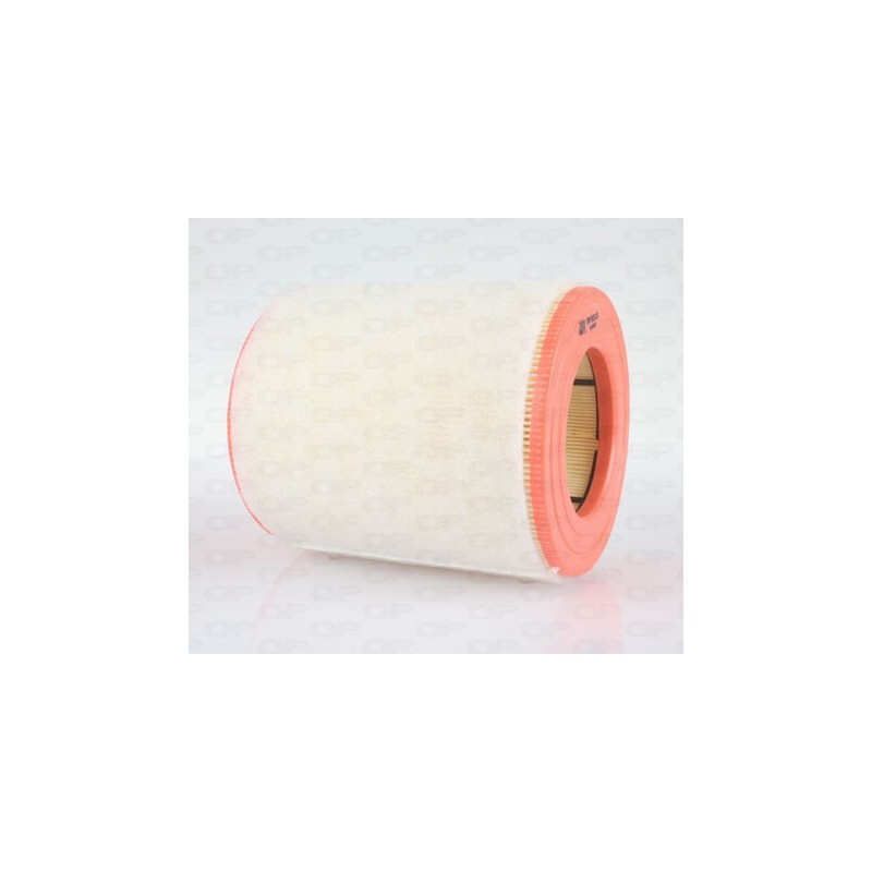 Filtro Aria EAF3619.20