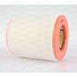 Filtro Aria EAF3619.20