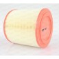 Filtro Aria EAF3621.20