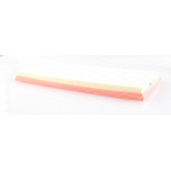 Filtro Aria EAF3667.10 - 80-EAF3667.10 - 80-EAF3667.10