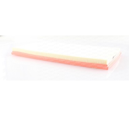Filtro Aria EAF3667.10 - 80-EAF3667.10 - 80-EAF3667.10