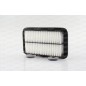 Filtro Aria EAF3678.10