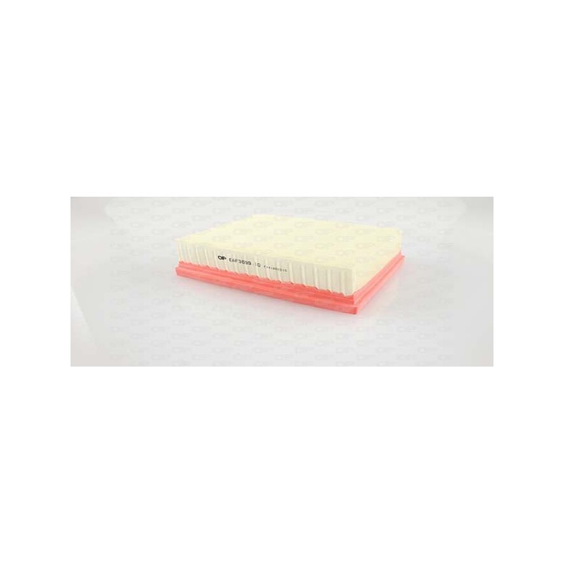Filtro Aria EAF3699.10