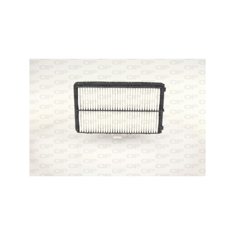 Filtro Aria EAF3755.10