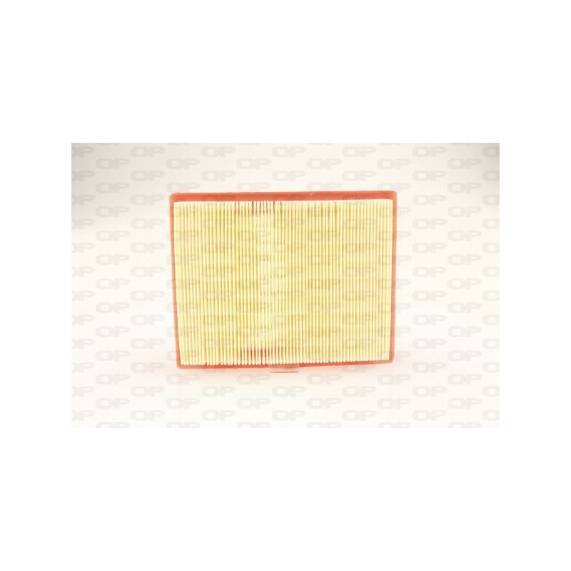 Filtro Aria EAF3776.10