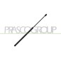 Molla A Gas destro/Sinistro Portellone posteriore (450N L.556,5MM) (Mod. Sportback) per Audi A3 (8V1) e A3 (8VK) AD3249065