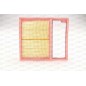 Filtro Aria EAF3784.10