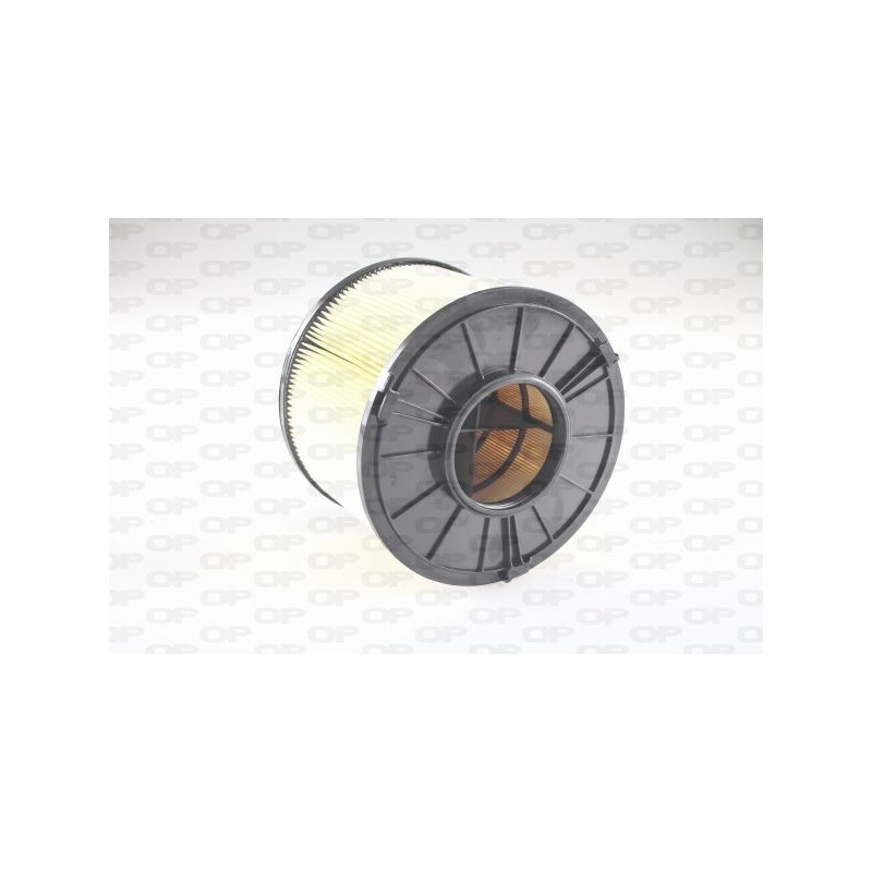 Filtro Aria EAF3787.20