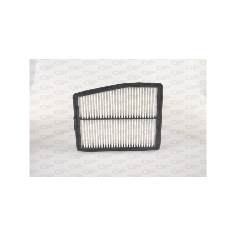 Filtro Aria EAF3788.10