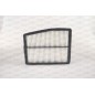 Filtro Aria EAF3788.10