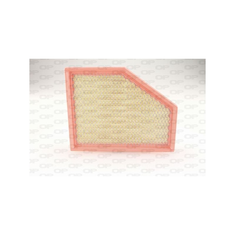 Filtro Aria EAF3791.10