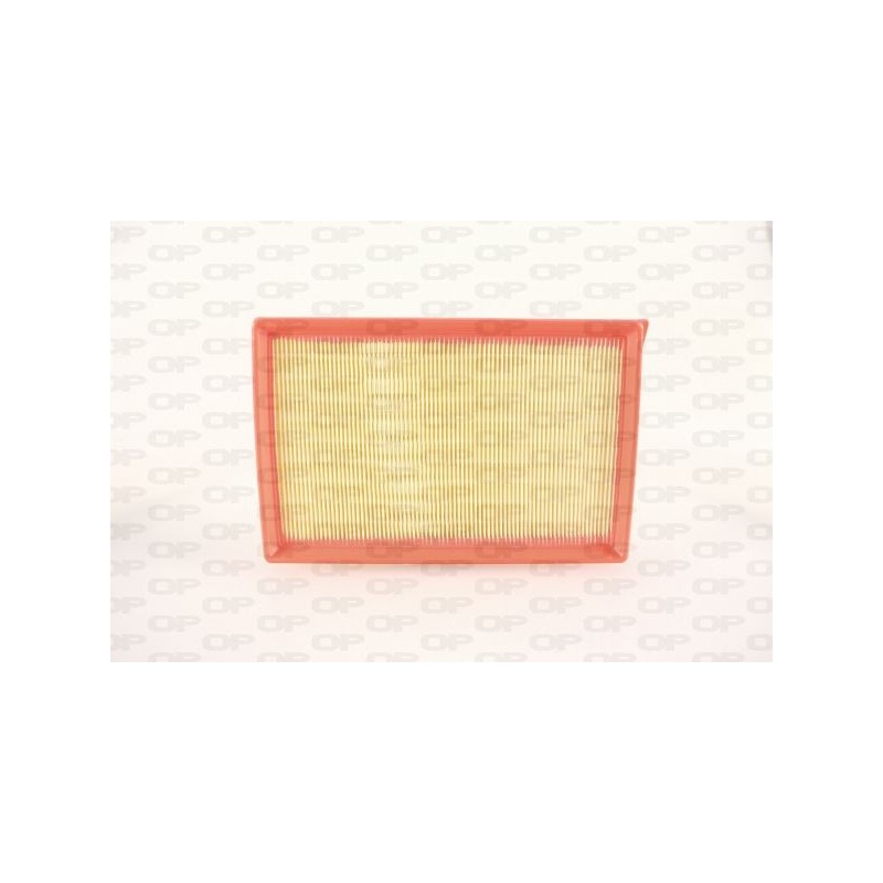Filtro Aria EAF3794.10