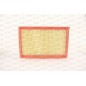 Filtro Aria EAF3794.10