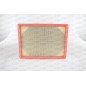 Filtro Aria EAF3796.10