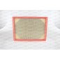 Filtro Aria EAF3796.10