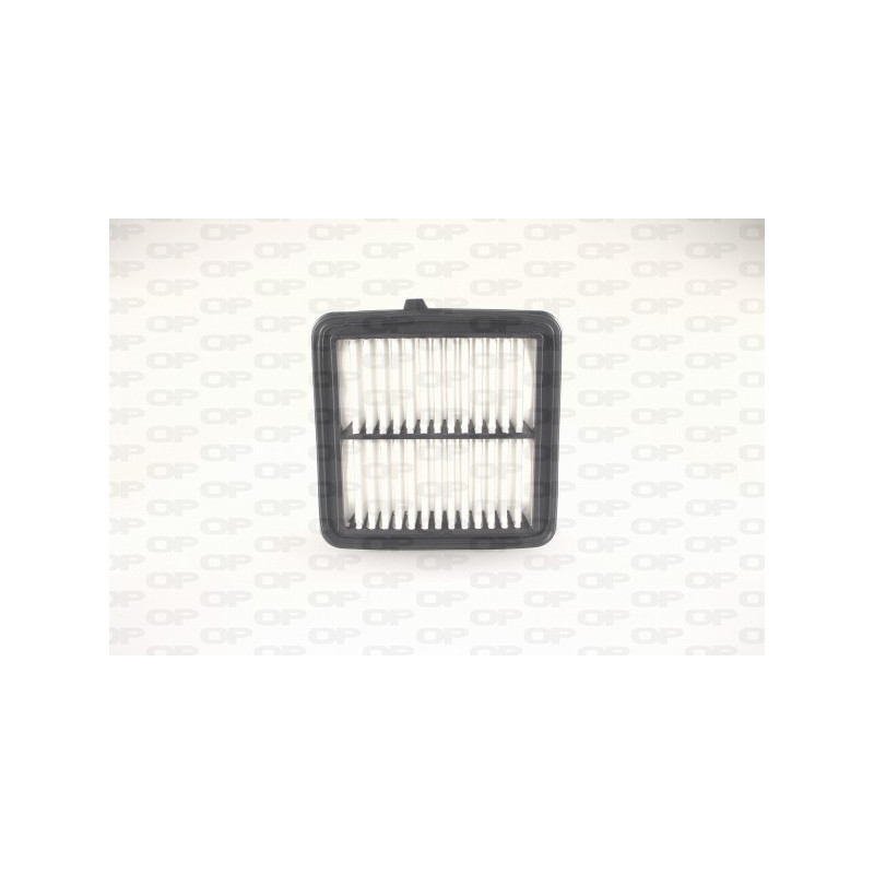 Filtro Aria EAF3801.10