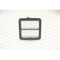 Filtro Aria EAF3801.10