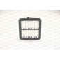 Filtro Aria EAF3801.10