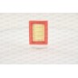 Filtro Aria EAF3803.10