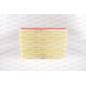 Filtro Aria EAF3805.10