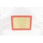 Filtro Aria EAF3810.10