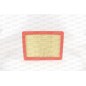 Filtro Aria EAF3810.10