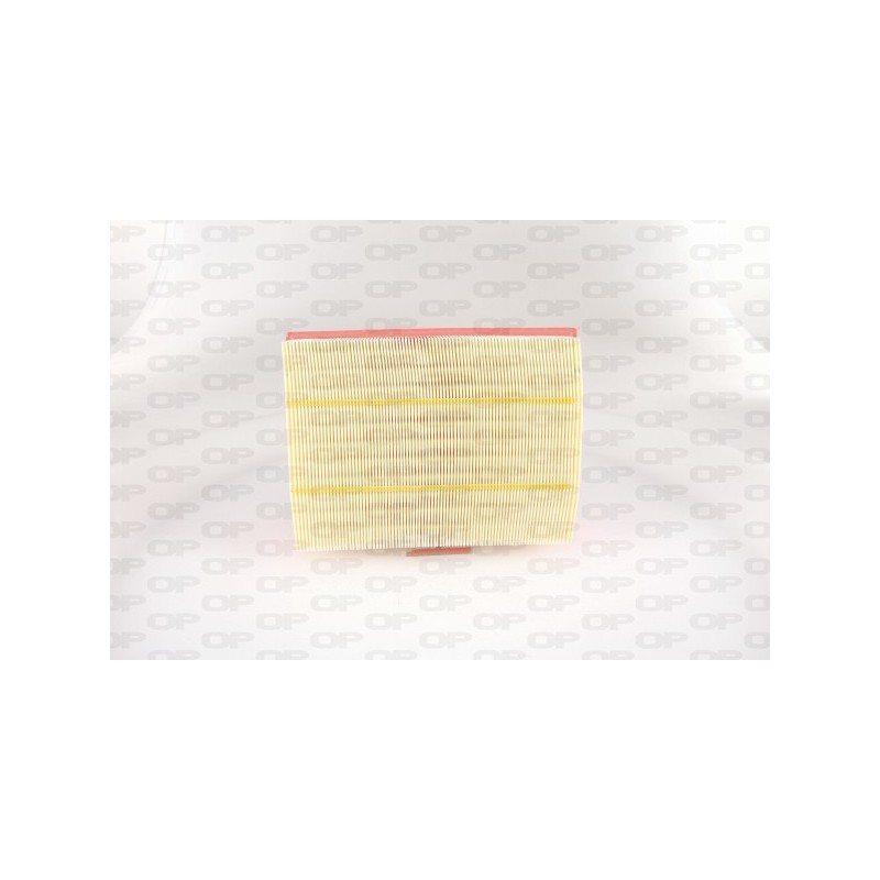 Filtro Aria EAF3811.10