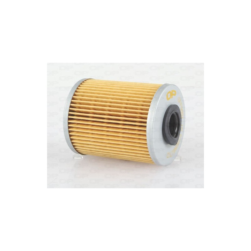 Filtro Carburante EFF5001.10