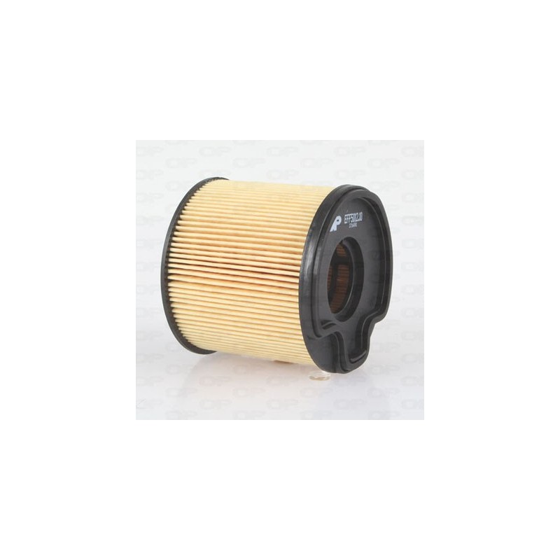 Filtro Carburante EFF5012.10