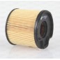 Filtro Carburante EFF5012.10