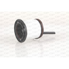 Filtro Carburante EFF5317.10 - 80-EFF5317.10 - 80-EFF5317.10