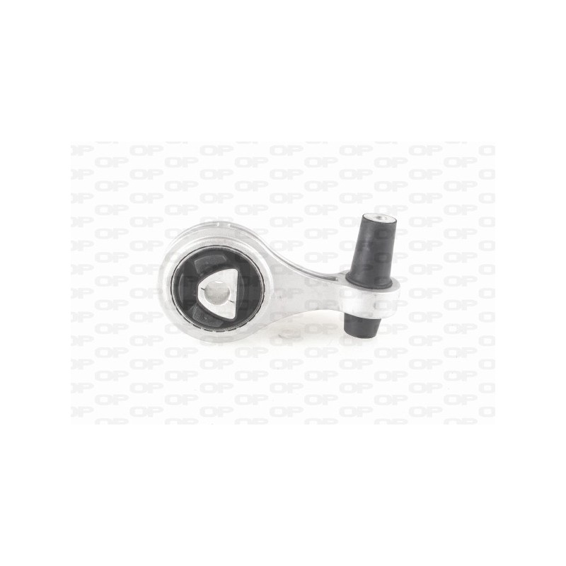 Supporto Motore EMS4002.00