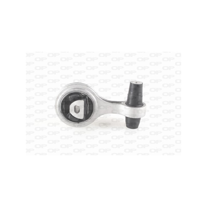 Supporto Motore EMS4006.00
