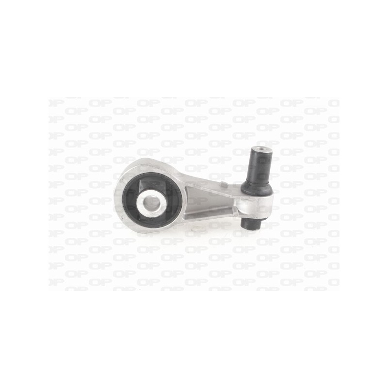 Supporto Motore EMS4011.00