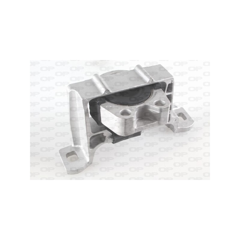 Supporto Motore EMS4019.00